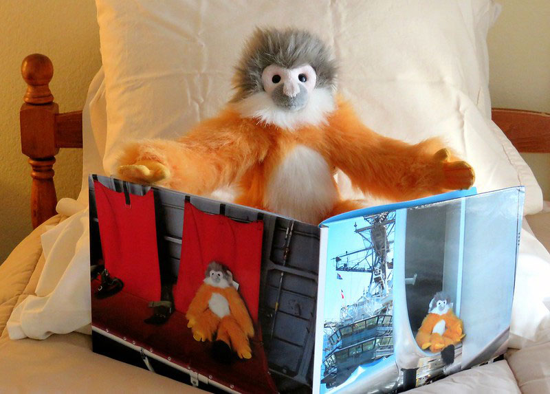 Adventure Gibbon and photo book