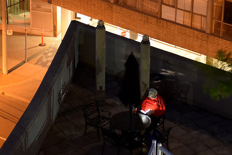 reading in the courtyard